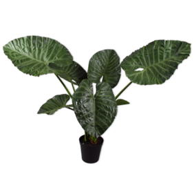 SILK-KA Alocasia Green | 124 cm