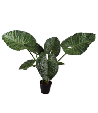 SILK-KA Alocasia Green | 124 cm