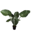 SILK-KA Alocasia Green | 124 cm