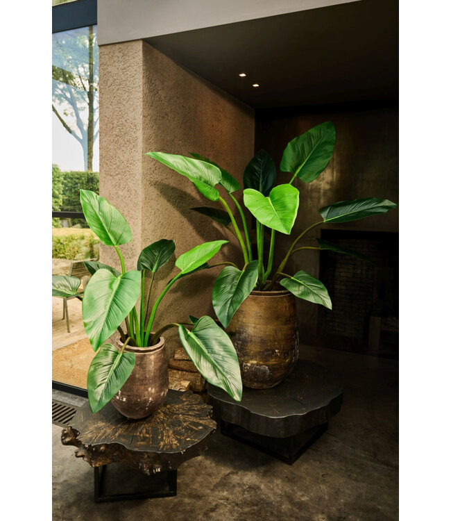 SILK-KA Alocasia Green | 91 cm