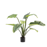 SILK-KA Alocasia Grün | 91 cm