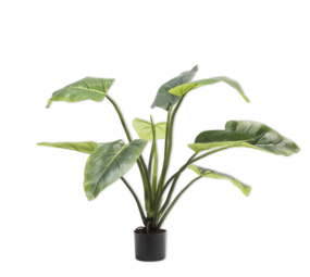 SILK-KA Alocasia Green | 91 cm