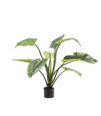 SILK-KA Alocasia verte | 91 cm