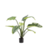 SILK-KA Alocasia Green | 91 cm
