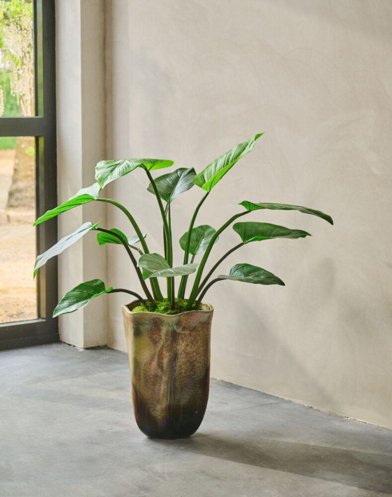 SILK-KA Verde Alocasia | 122 cm