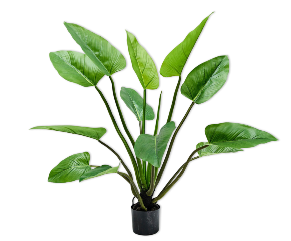 SILK-KA Alocasia Groen | 122 cm
