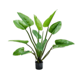 SILK-KA Alocasia Grün | 122 cm