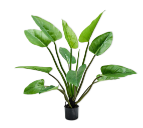 SILK-KA Alocasia Vert | 122 cm