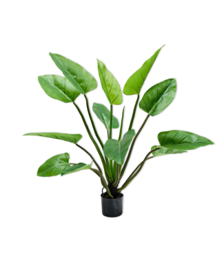 SILK-KA Verde Alocasia | 122 cm