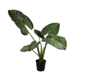 SILK-KA Alocasia Green | 121 cm SILK-KA Alocasia Green | 121 cm