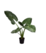 SILK-KA Alocasia Green | 121 cm
