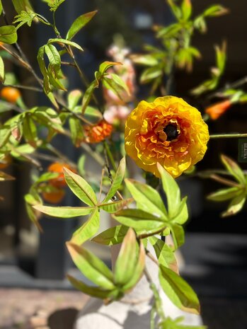 SILK-KA Kunstbloemen boeket "Orange'' SILK-KA Kunstbloemen boeket "Orange''
