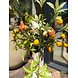 SILK-KA Kunstbloemen boeket "Lemon'' SILK-KA Kunstbloemen boeket "Lemon''