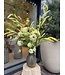 SILK-KA Artificial flower bouquet "Pure Serenity"
