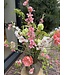 SILK-KA Bouquet de fleurs artificielles « Jardin rose »