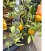 SILK-KA Artificial flower bouquet "Lemon"