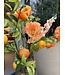 SILK-KA Artificial flower bouquet "Orange"