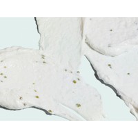 Image Skincare ILUMA - Intense Brightening Exfoliating Cleanser ILUMA - Intense Brightening Exfoliating Cleanser