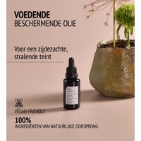 Comfort Zone Skin Regimen 10.0 Tulsi Booster Skin Regimen 10.0 Tulsi Booster