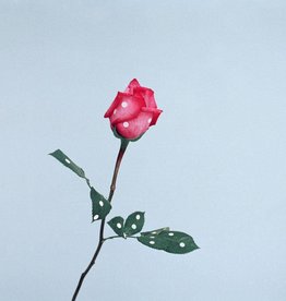 Foam Editions Ina Jang - A Rose, 2009