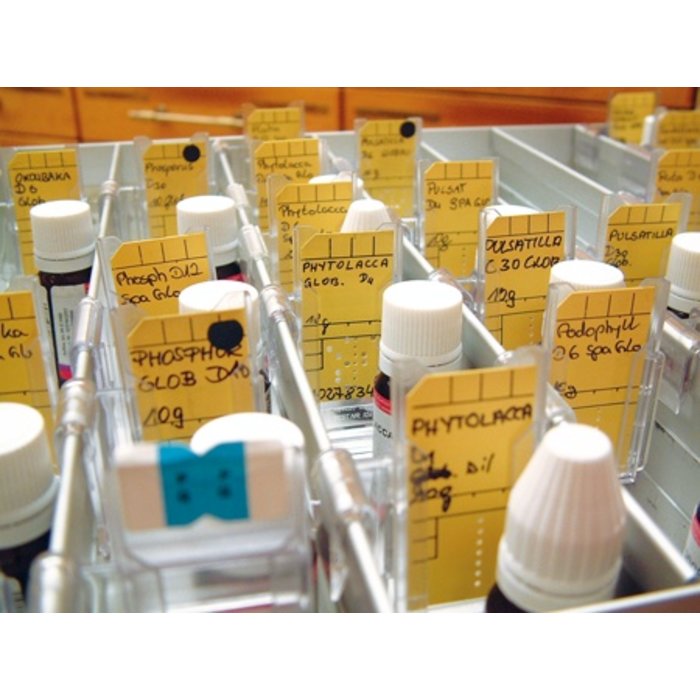 Minikaarthouder met clip (100 stk.)