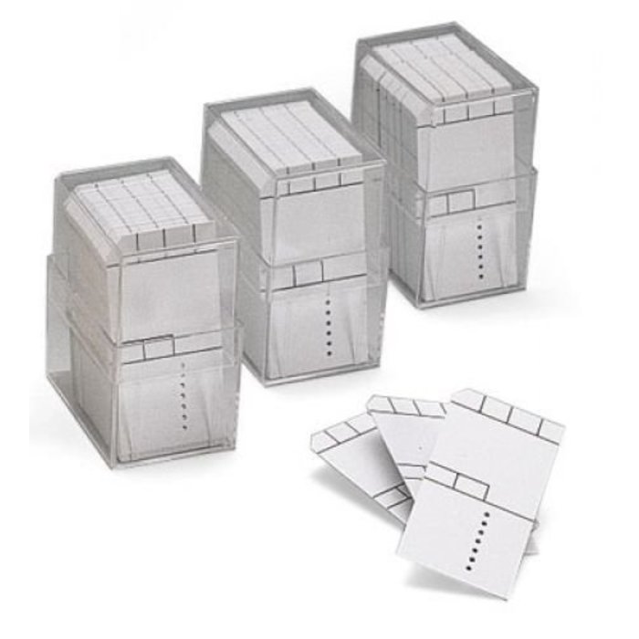 800 x Minikaart 50x25mm met kader in box