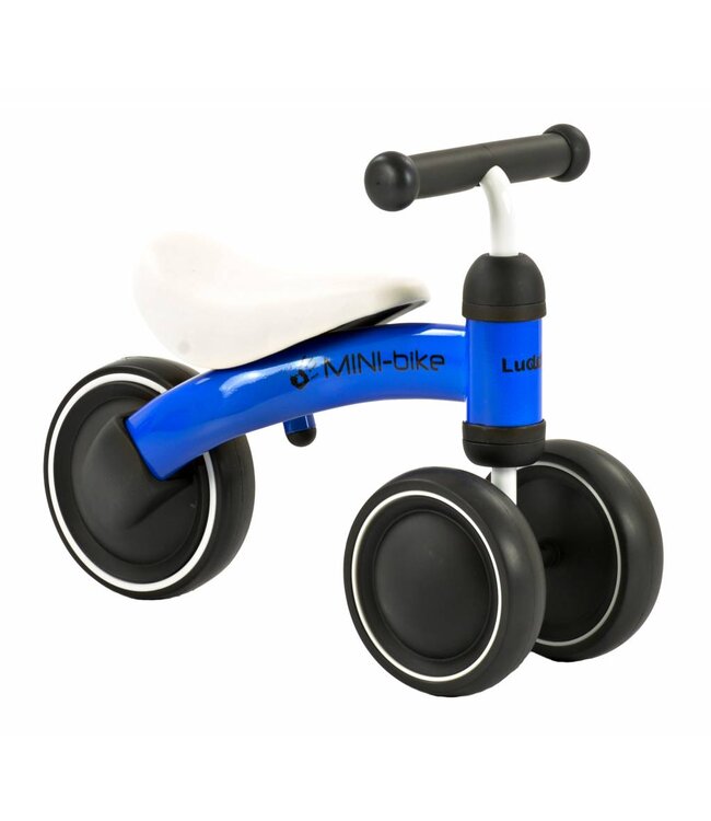 2Cycle Mini-Bike - Loopfiets - Jongens en Meisjes - 1 Jaar - Speelgoed - Blauw - Loopfiets 1 jaar - Balance bike