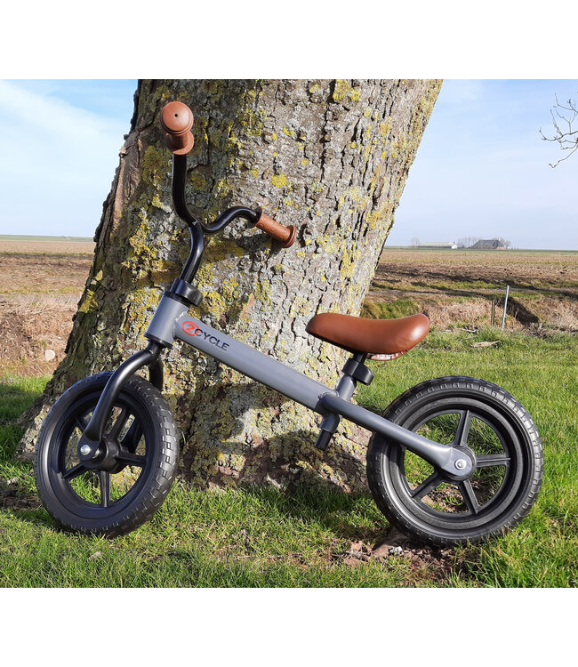 2Cycle Loopfiets - Mat-Grijs - Balance-bike - Buitenspeelgoed