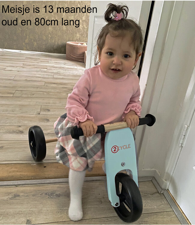 2Cycle 2 in 1 Loopfiets/Driewieler - Hout - Jongens en Meisjes - 1 Jaar - Speelgoed  - Turquoise