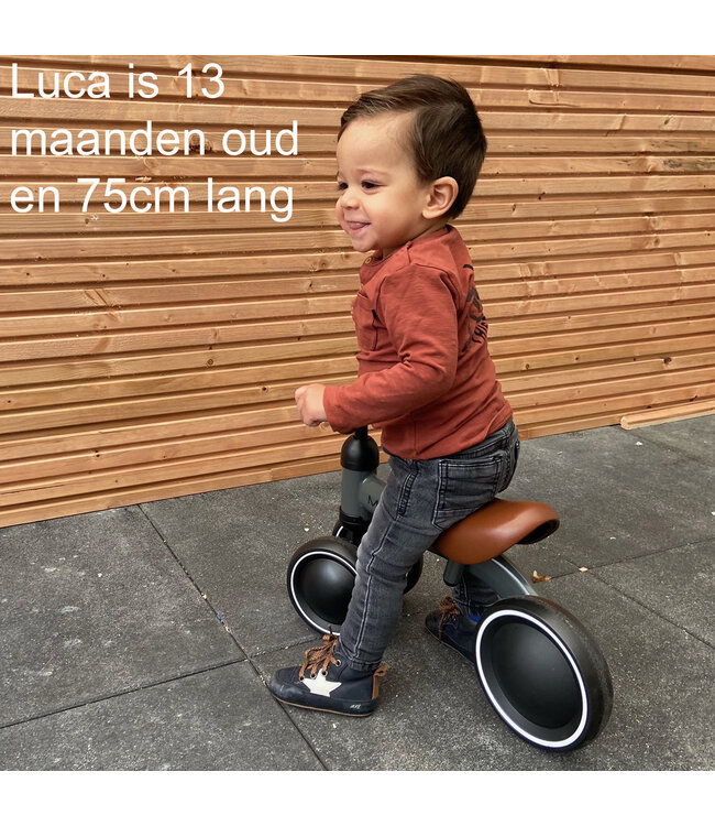 2Cycle Mini-Bike - Loopfiets - Jongens en Meisjes - 1 Jaar - Speelgoed - Blauw - Loopfiets 1 jaar - Balance bike