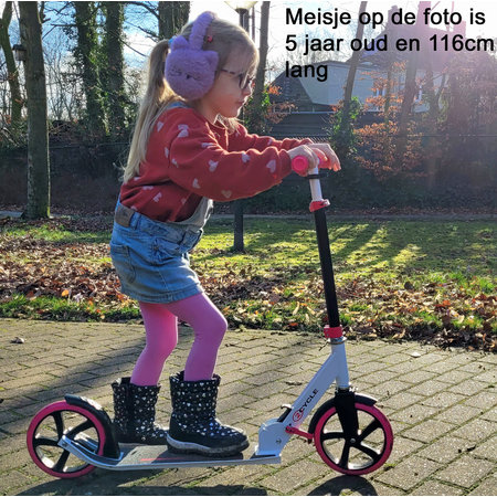 2Cycle 2Cycle Step - Kinderstep - Aluminium -  Grote Wielen - 20cm - Autoped -Roze-Wit