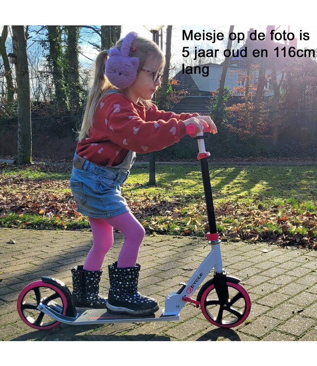 2Cycle Step - Kinderstep - Aluminium -  Grote Wielen - 20cm - Autoped -Roze-Wit