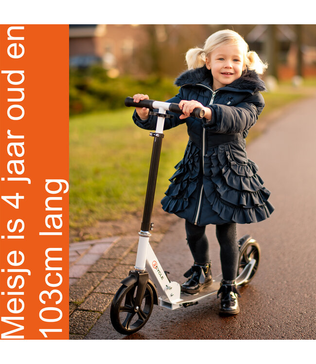 2Cycle Step - Kinderstep - Aluminium -  Grote Wielen - 20cm - Autoped -Roze-Wit