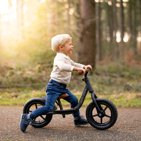 Sajan 2Cycle Loopfiets - Balance Bike - Jongens en Meisjes - Loopfiets 2 Jaar - Buitenspeelgoed - Mat-Roze