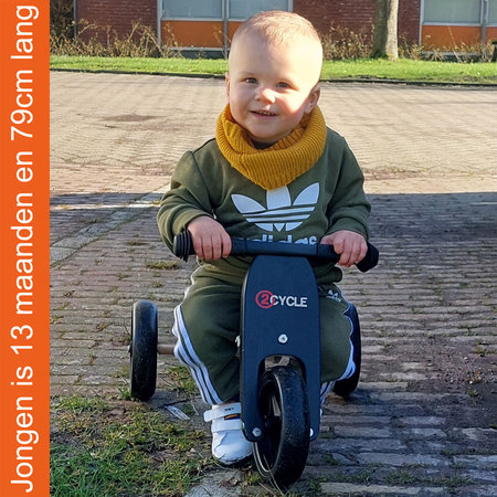 2Cycle 2Cycle 2 in 1 Loopfiets/Driewieler - Hout - Jongens en Meisjes - 1 Jaar - Speelgoed  - Grijs