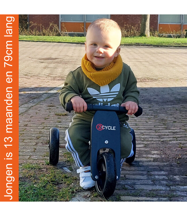 2Cycle 2 in 1 Loopfiets/Driewieler - Hout - Jongens en Meisjes - 1 Jaar - Speelgoed  - Turquoise