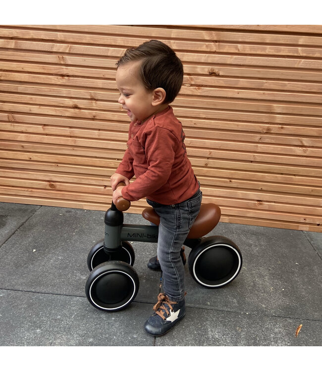 2Cycle Mini-Bike Loopfiets - Jongens en Meisjes - 1 Jaar - Speelgoed - Roze - 2e