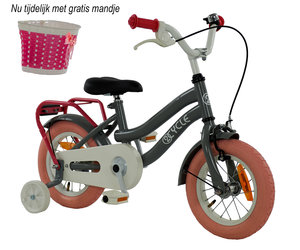 Autonoom Effectief extract 2cycle grijs-roze Meisjesfiets 12 inch eenvoudig online kopen |  Prijskiller.nl