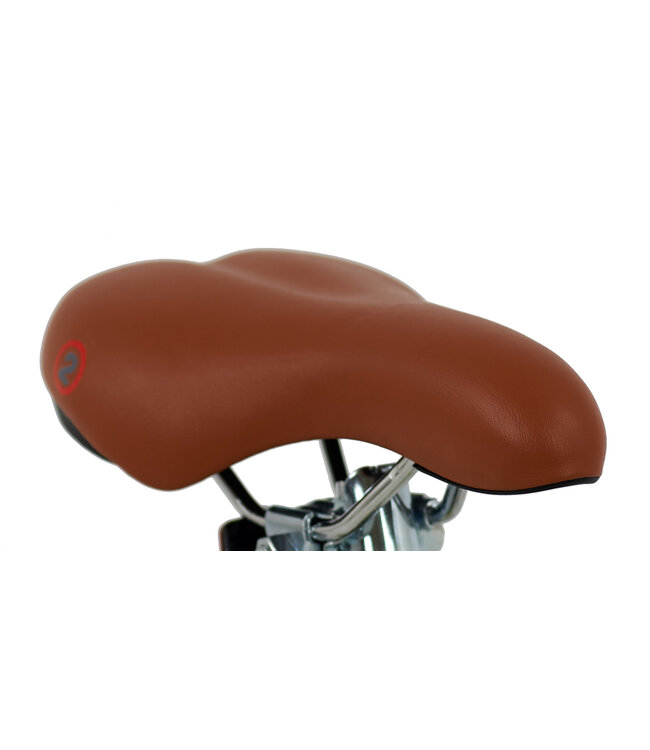 2Cycle Shine kinderfiets 16 inch (4 tot 6 jaar) voor meisjes groen