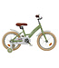2Cycle Shine kinderfiets 16 inch (4 tot 6 jaar) voor meisjes groen