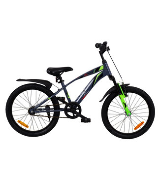 2Cycle 2Cycle Panter kinderfiets 20 inch (6 tot 8 jaar) voor jongens grijs-groen