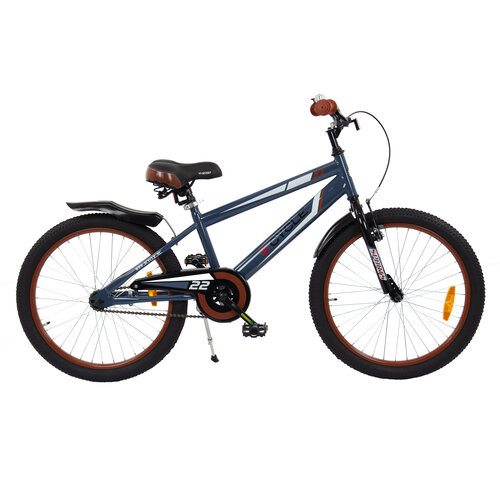 Kinderfiets 22 inch (7 tot 9 jaar)