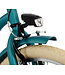 2Cycle Cruiser kinderfiets 24 inch (8 tot 10 jaar) voor meisjes groen-blauw