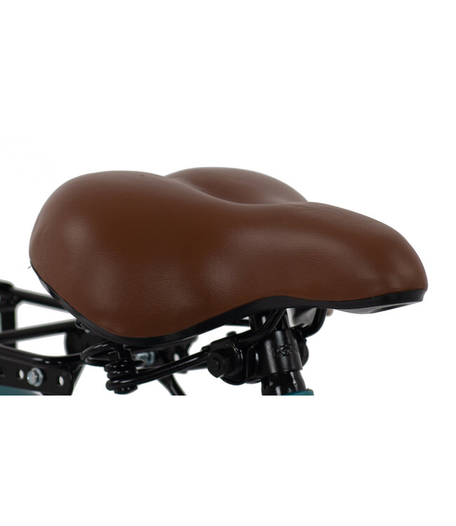 2Cycle Cruiser kinderfiets 24 inch (8 tot 10 jaar) voor meisjes groen-blauw