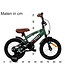 2Cycle BMX Fun kinderfiets 14 inch (3 tot 5 jaar) voor jongens groen