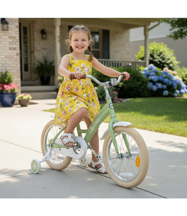 2Cycle Shine kinderfiets 16 inch (4 tot 6 jaar) voor meisjes groen