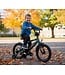 2Cycle BMX-Fun kinderfiets 16 inch (4 tot 6 jaar) voor jongens groen