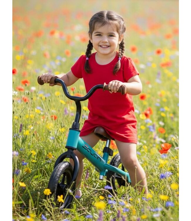 Sajan Loopfiets - Lichtblauw