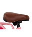 2Cycle Transportfiets 16 inch (4 tot 6 jaar) voor meisjes roze