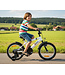 2Cycle BMX-Fun kinderfiets 16 inch (4 tot 6 jaar) voor jongens wit - 2e